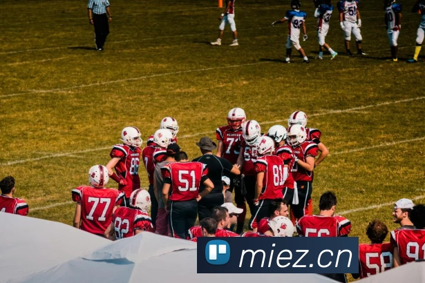 人人体育app官网入口登录APP 封面图